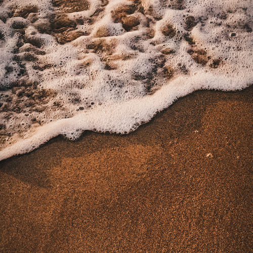 Photo #13913541
