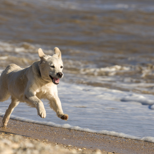 Photo #13913565