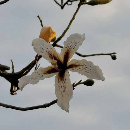 Photo #13913665