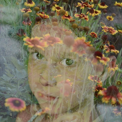 Photo #13913878