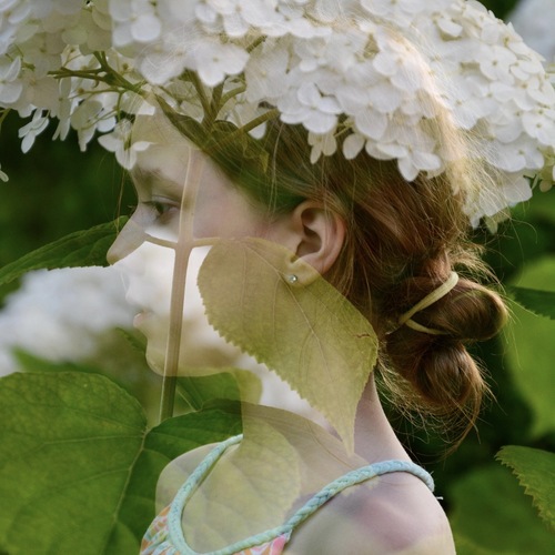 Photo #13913880