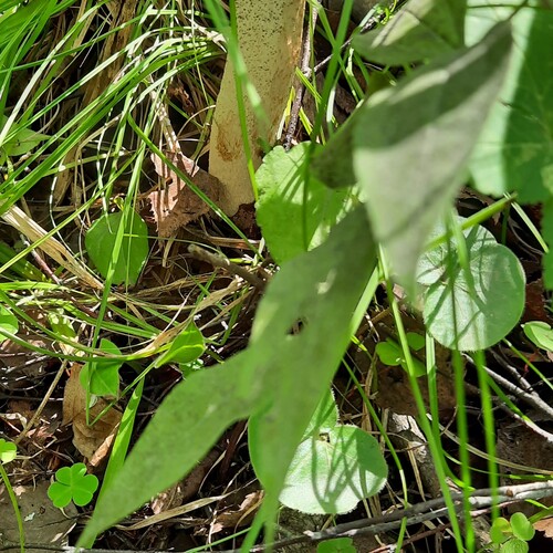 Photo #13913887