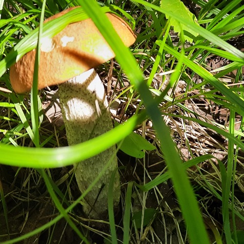 Photo #13913896