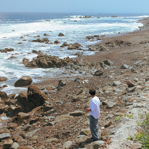 Photo #13913976