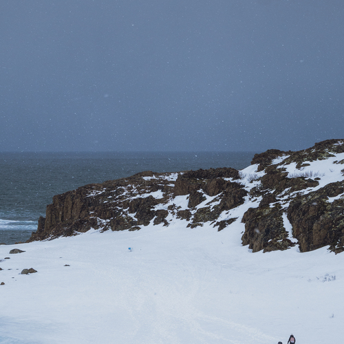 Photo #13914072
