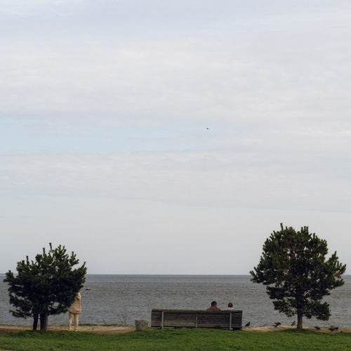 Photo #13914083
