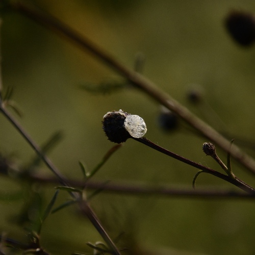 Photo #13914098