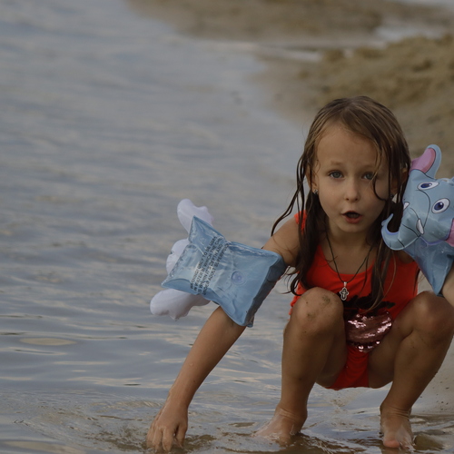 Photo #13914272