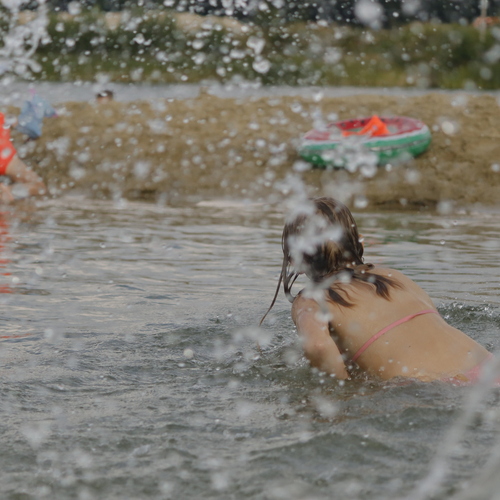 Photo #13914279