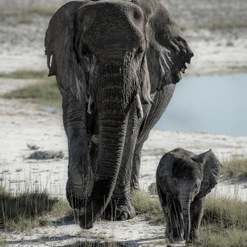 Mother and Child