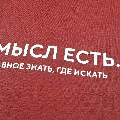 Photo #13914365