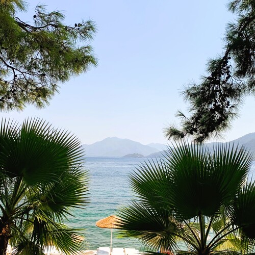 Photo #13914537