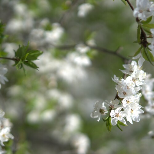 Photo #13914745