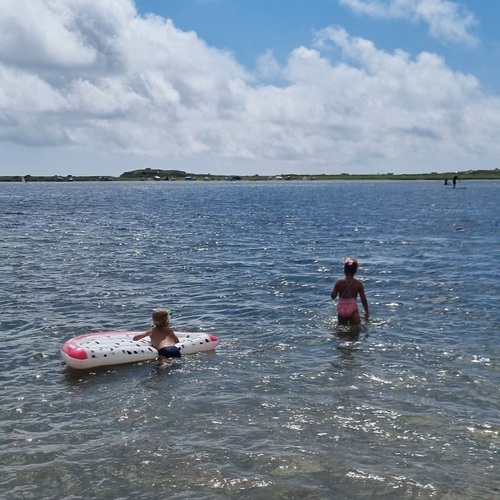 Photo #13914784