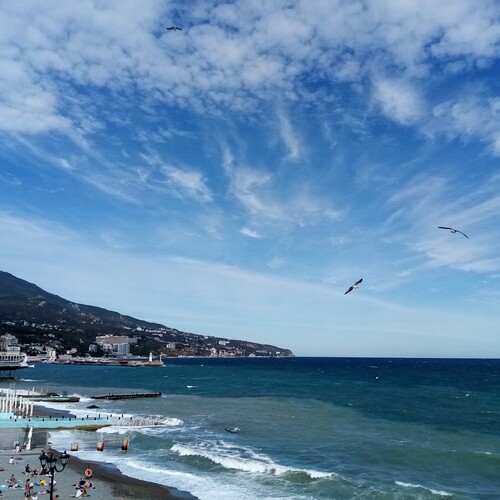 Photo #13915242