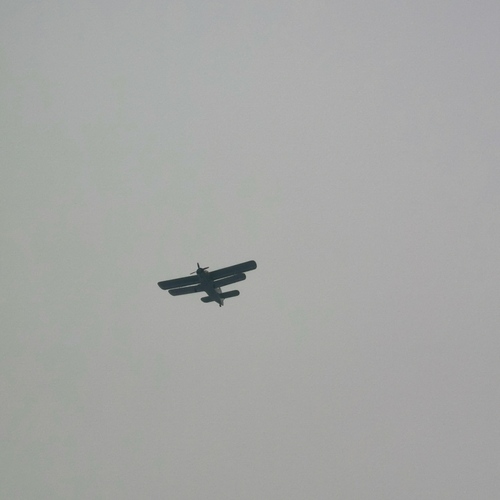 Photo #13915376