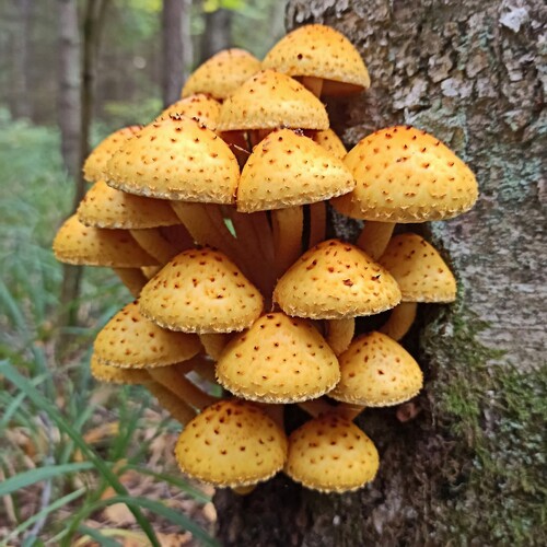 Photo #13915399