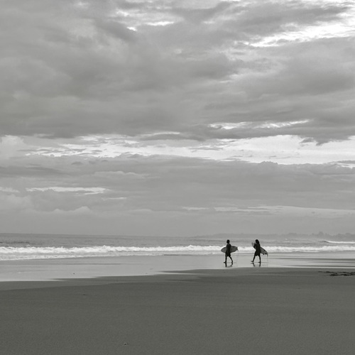 Photo #13915504