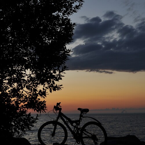 Photo #13915595