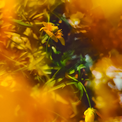Photo #13915663