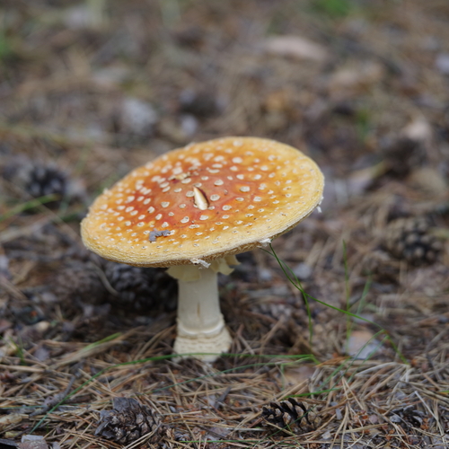 Photo #13915676