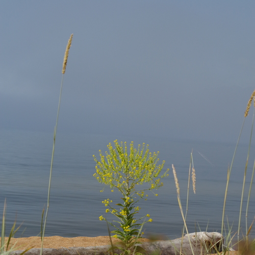 Photo #13915697