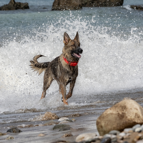 Photo #13915822