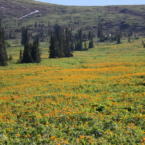 Photo #13915846