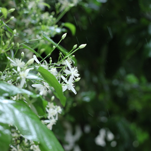 Photo #13915856