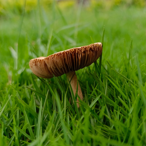 Photo #13915914