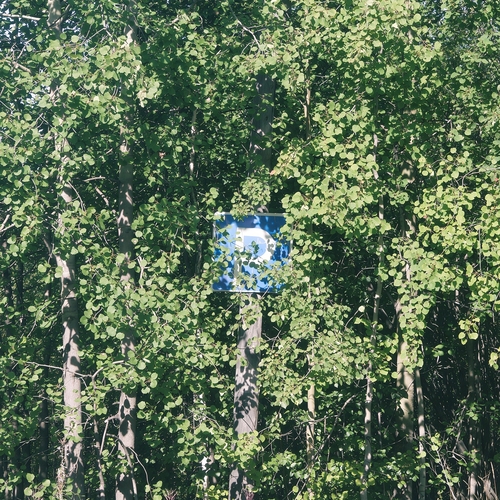 Photo #13915916