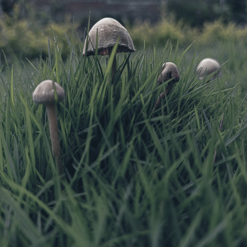 Photo #13915929