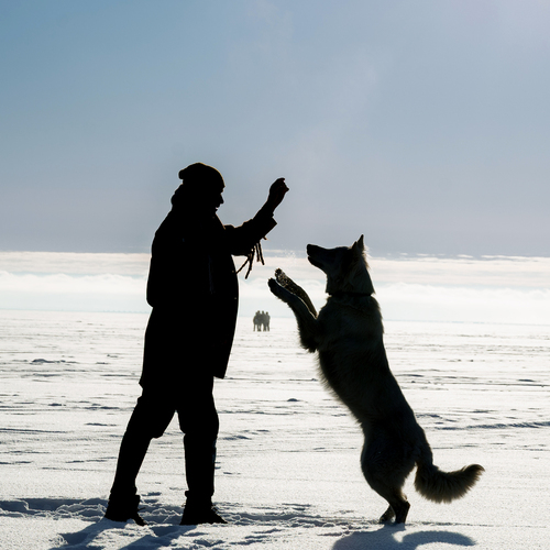 Photo #13915986