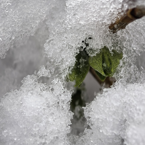 Photo #13916155