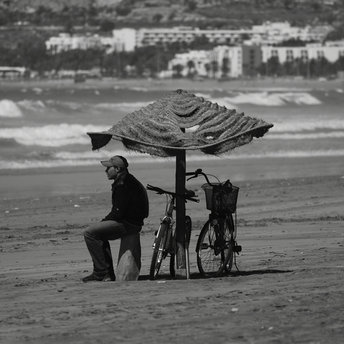 Photo #13916351