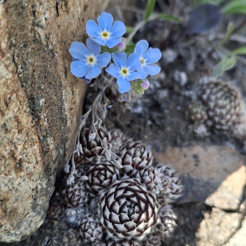 Photo #13916354