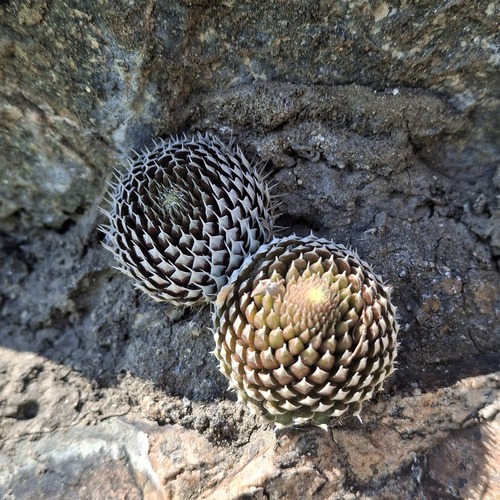 Photo #13916355
