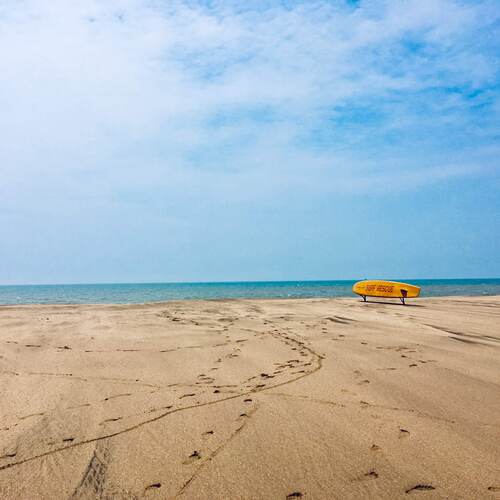 Photo #13916383