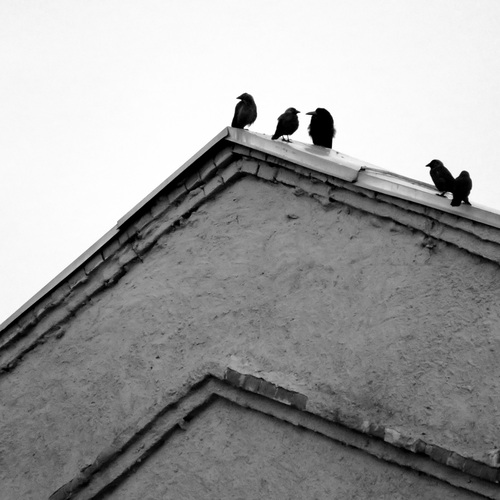 Photo #13916495