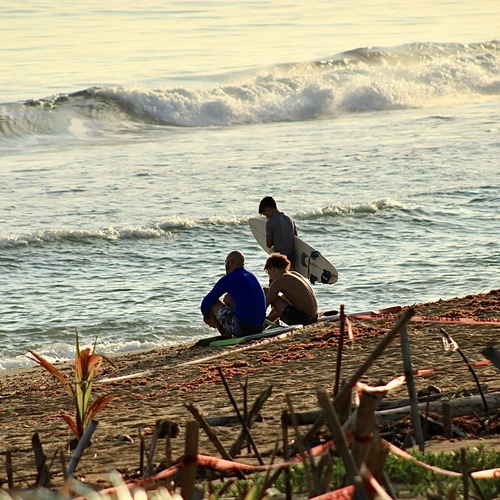 Photo #13916500