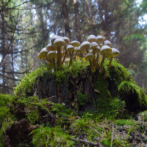 Photo #13916578