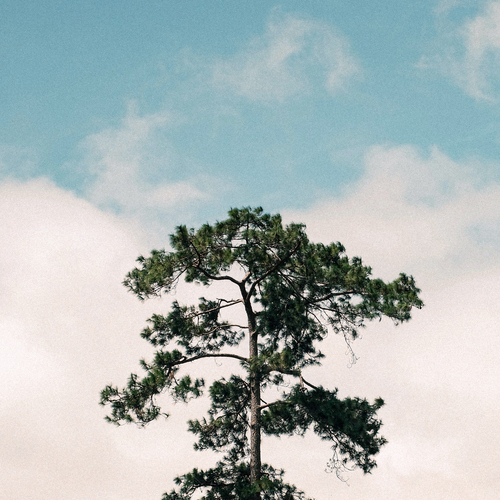 Photo #13916588