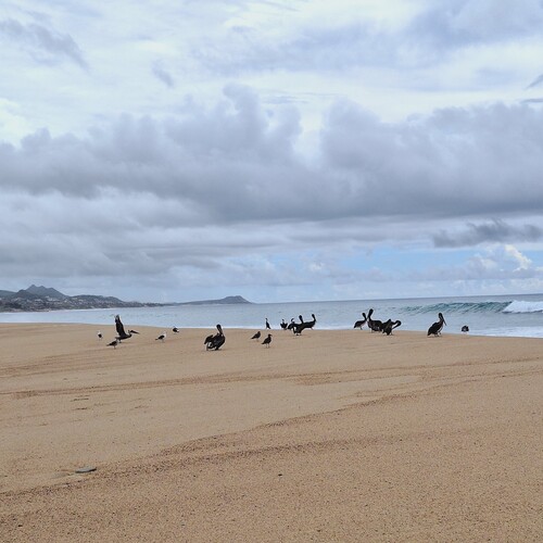 Photo #13916631