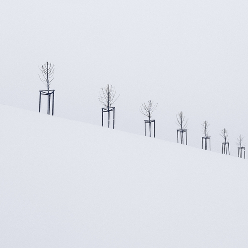 Photo #13916672