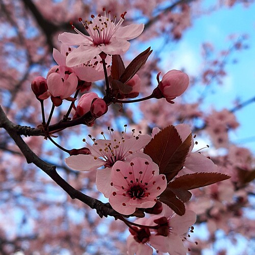 Photo #13916953
