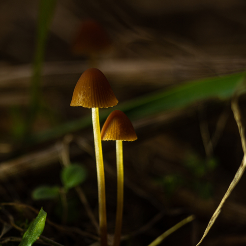 Photo #13916993