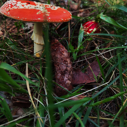 Photo #13917307