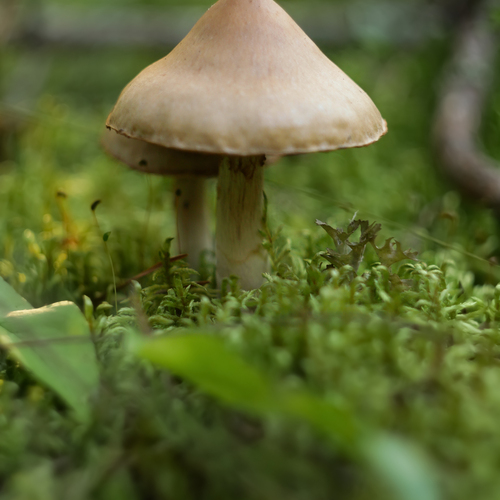 Photo #13917308