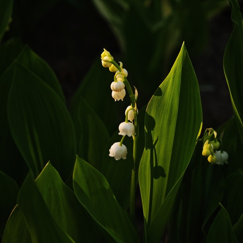 Photo #13917359