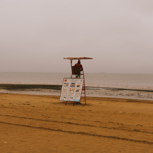 Photo #13917595